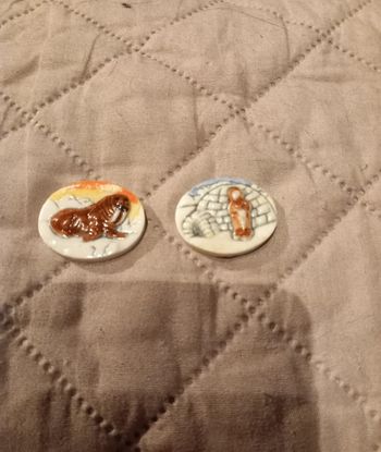 Lot 2 fèves plates thème pôle nord