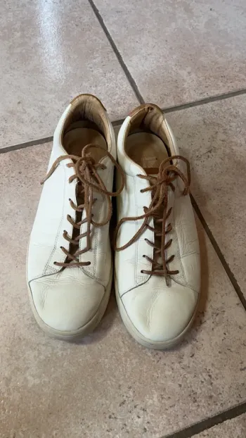 Basket le coq sportif