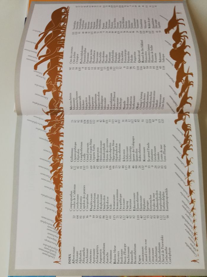 livre imagia dinosaures - photo numéro 8