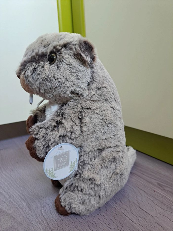 Peluche marmotte histoire d'ours - photo numéro 2
