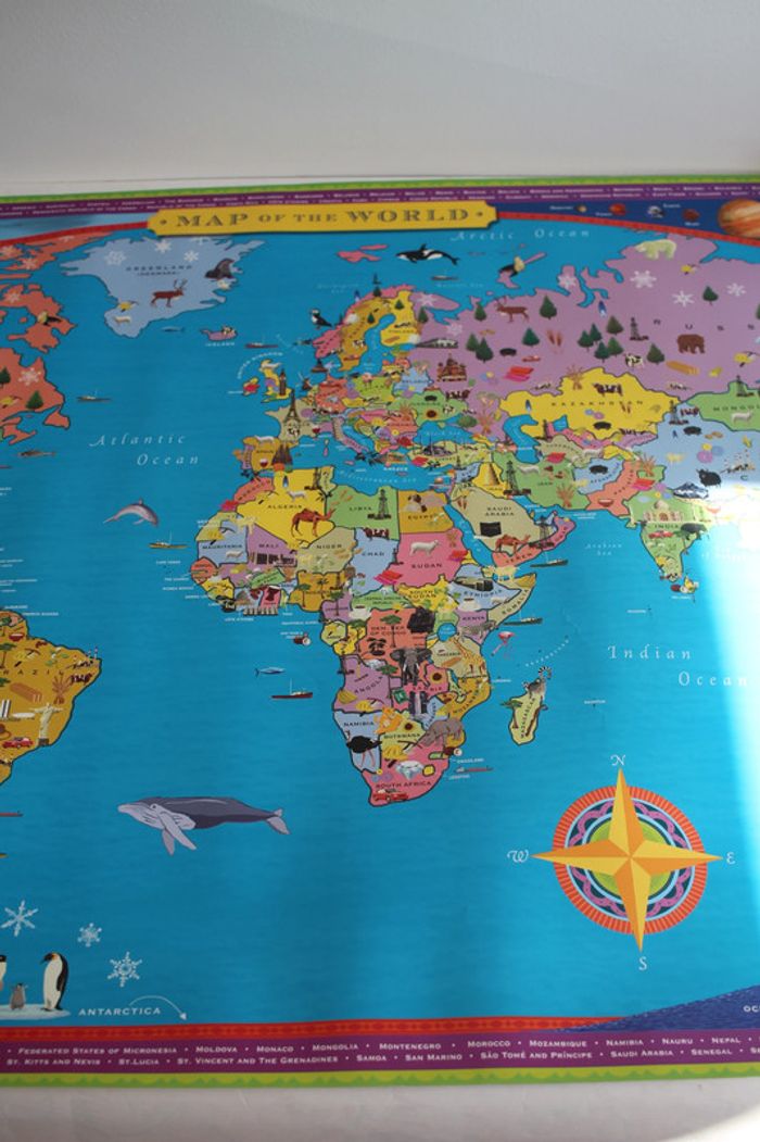 Eboo Pictorial Map of the world - photo numéro 4