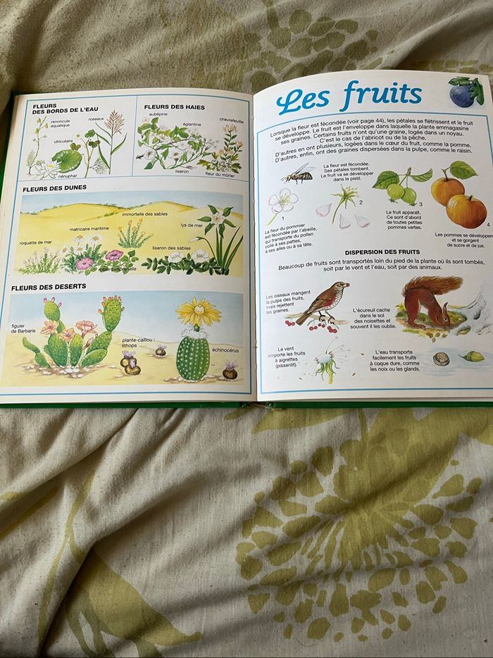 Livre. Dictio nature et jeux - photo numéro 4