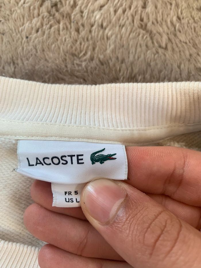 Pull Lacoste blanc et beige - photo numéro 5