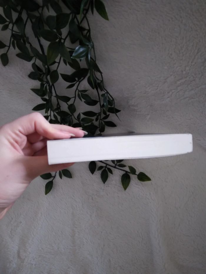 🍁A 3.5€ uniquement ce week-end 🍁 🌿Livre Ôwen et les sept cauchemars neuf🌿 - photo numéro 4