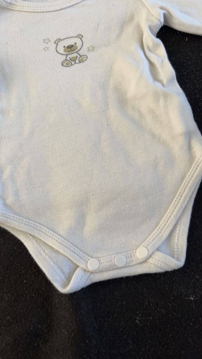 Bodie 3 mois - photo numéro 3