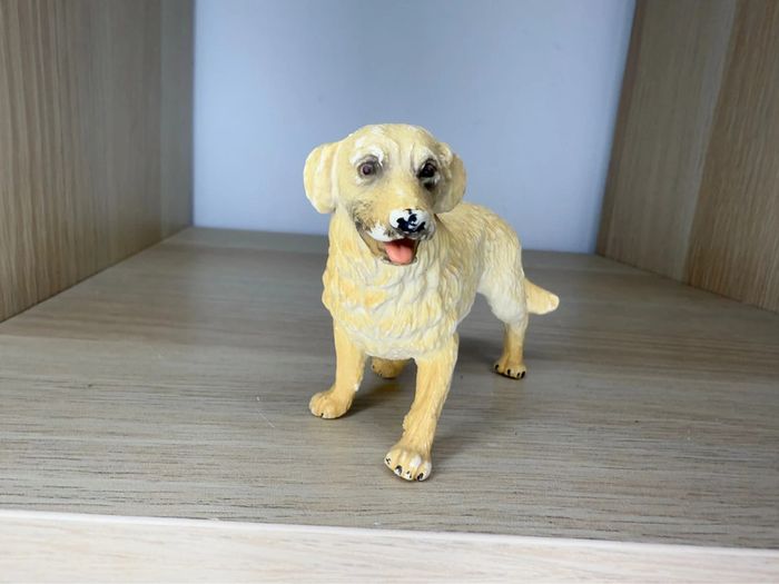 Chien bullyland - photo numéro 2