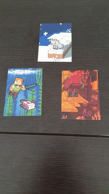 3 cartes Minecraft