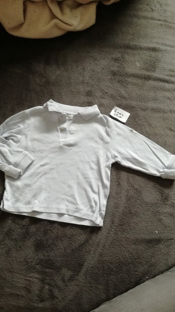 Polo polo polo