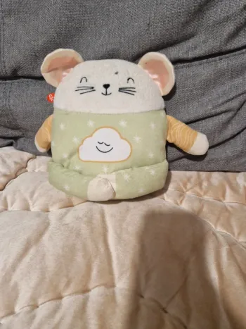 Souris de meditation