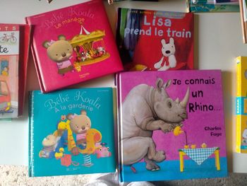 Livres enfant le lot