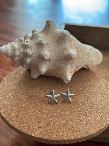 Boucles d’oreilles argenté étoile de mer en acier inoxydable neuve