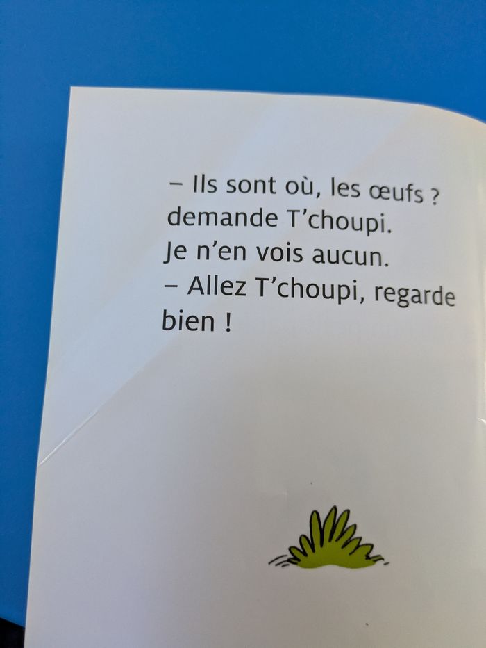 Lot 14 livres T'choupi - photo numéro 9