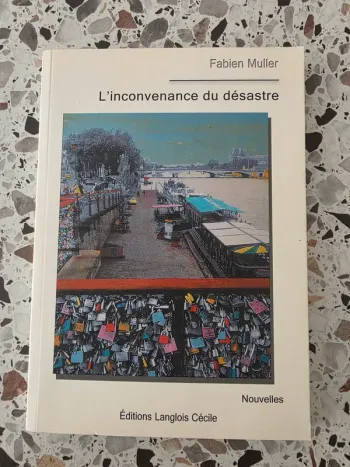 L'inconvenance du désastre