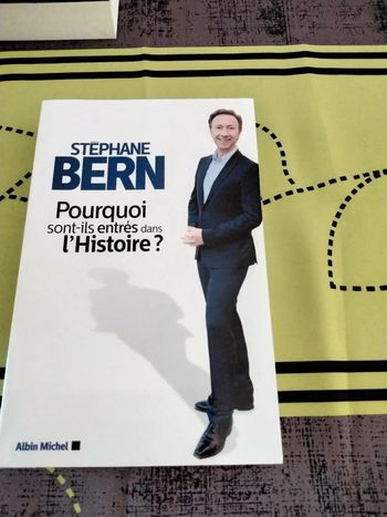 Livre - Pourquoi sont-ils entrés dans l'histoire ? De Stéphane BERN