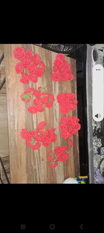 66 roses en mousse