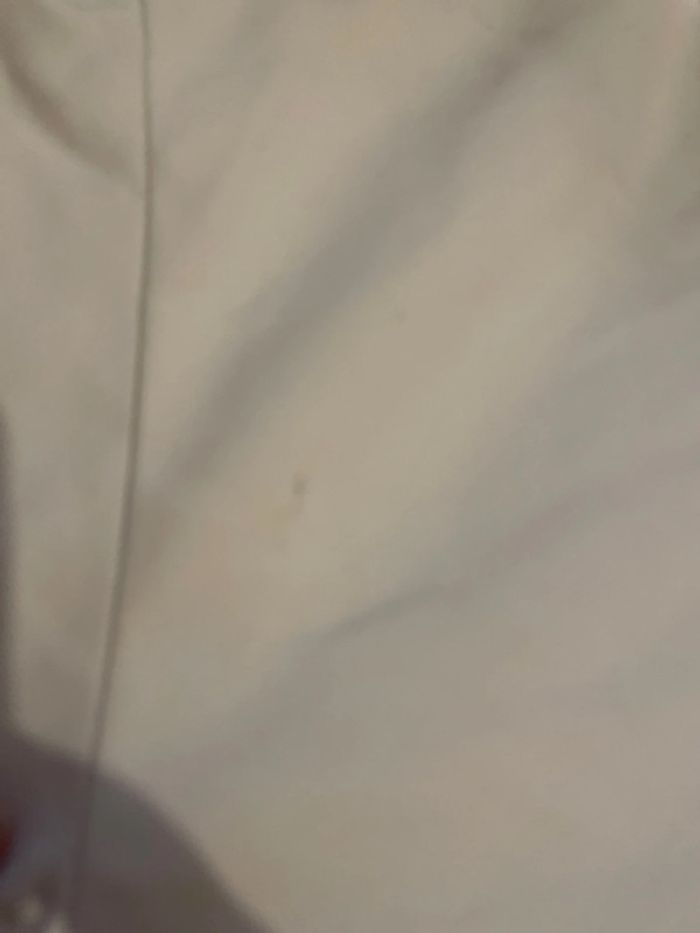 Short tailleur - photo numéro 2