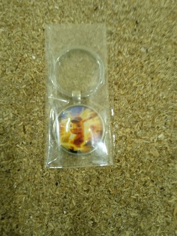 Porte clé pokémons