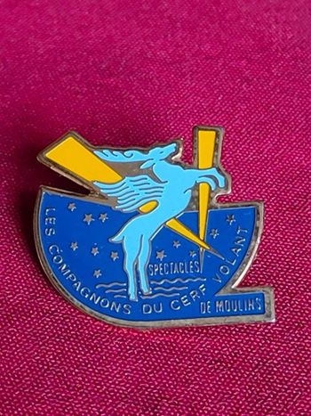 Pin's les compagnons du cerf volant