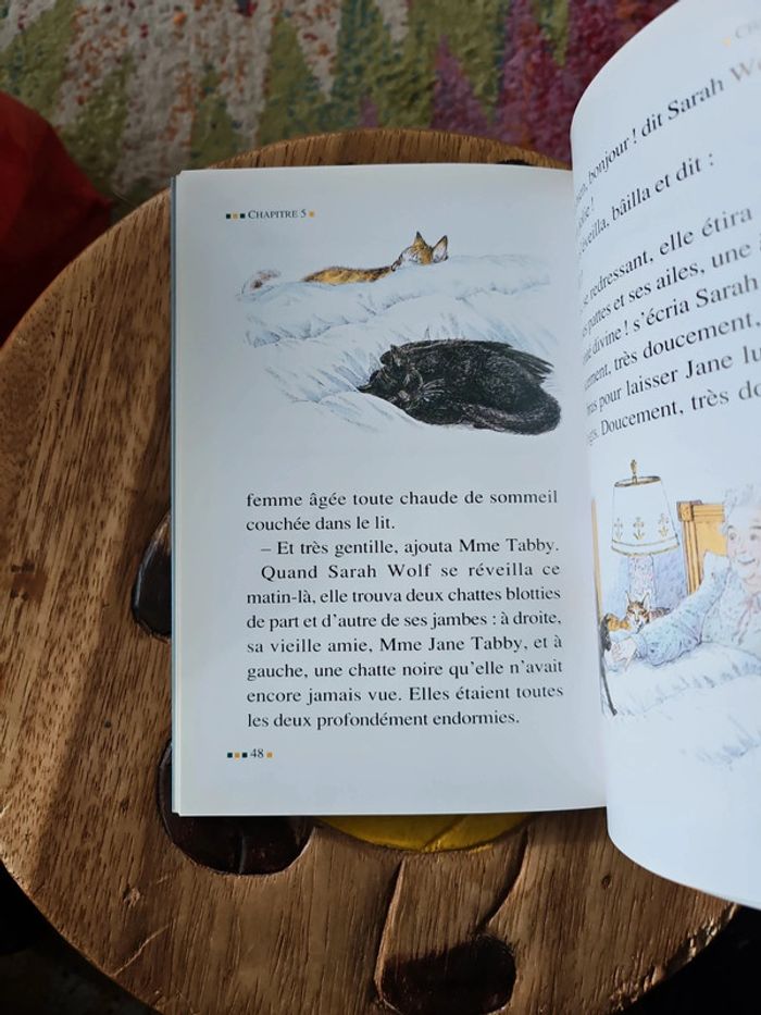 Roman  Au revoir les chats volants - photo numéro 3