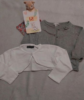 Lot 2 gilet 12 mois 