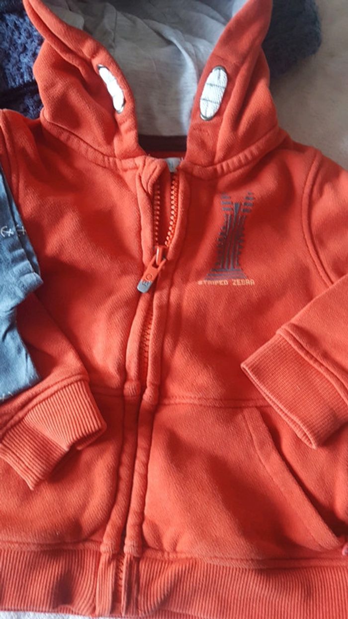 Lot 3 gilets et 1 tshirt - photo numéro 6