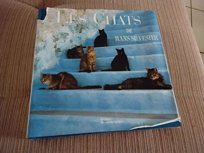 Les chats