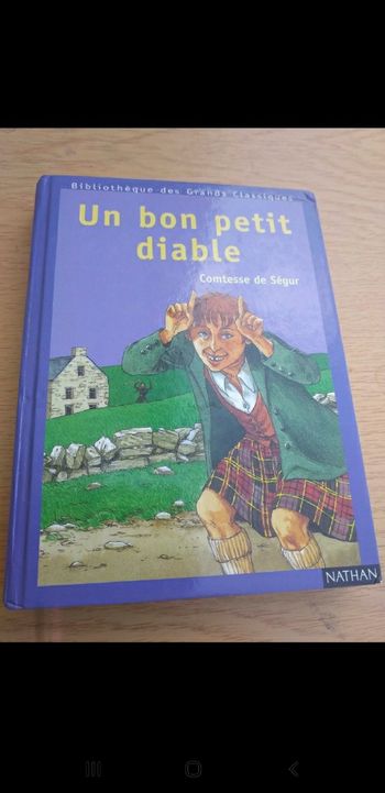 Un bon petit diable