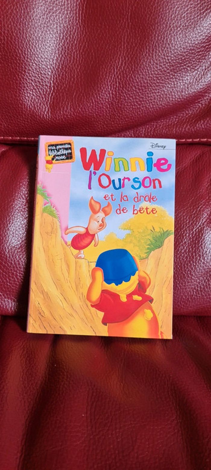 Winnie l'Ourson et la drôle de bête