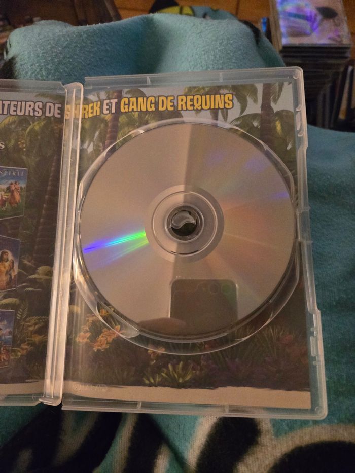 Madagascar - photo numéro 4