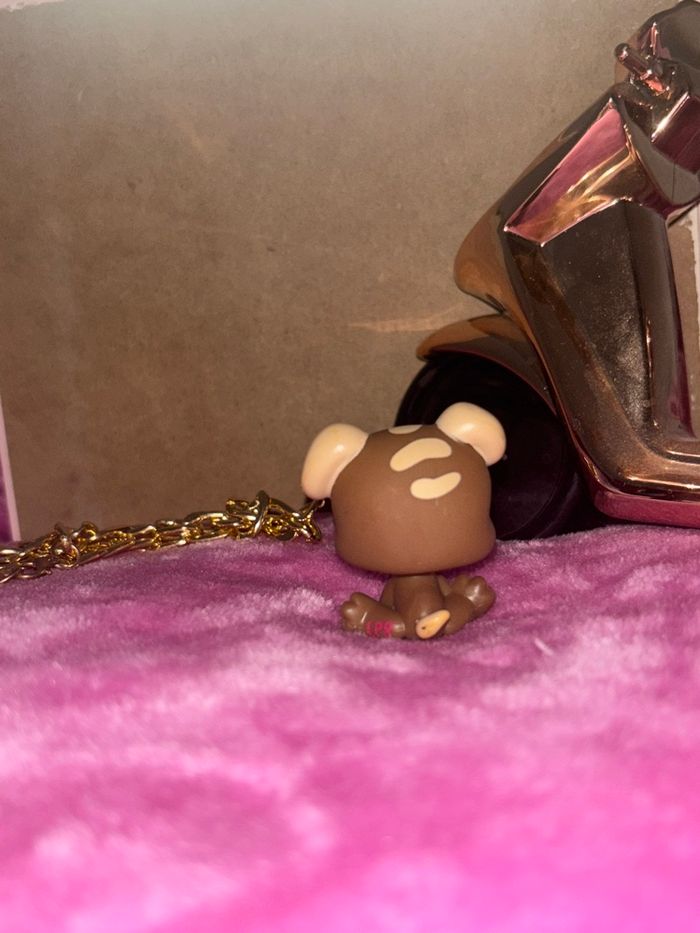 puppy #1052 - photo numéro 2