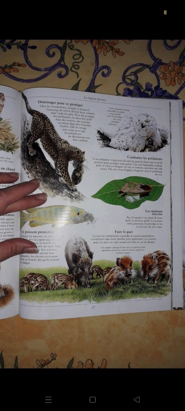 Les quatres saisons - photo numéro 4