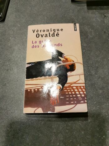 Livre la grâce des brigands.