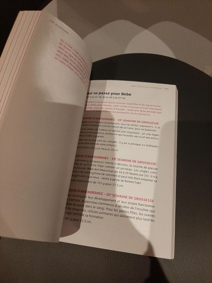 Livre grossesse - photo numéro 4