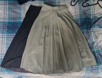Lot de 2 jupes