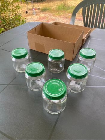 Petits pots vides Blédina 130g