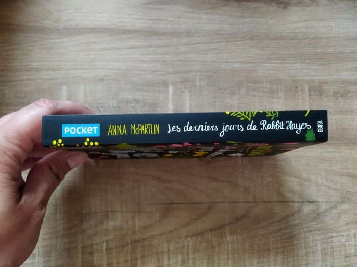 Les derniers jours de Rabbit Hayes - photo numéro 3