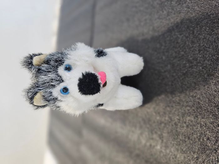 🧸 Peluche chien type Husky - photo numéro 2