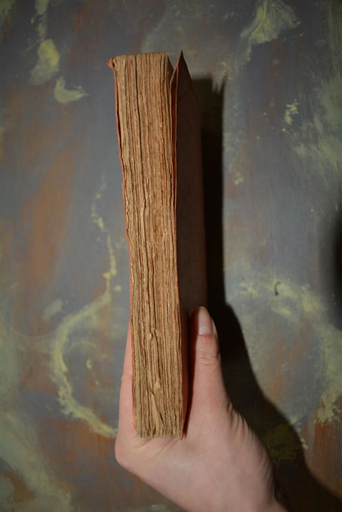 L'Angleterre moderne son évolution - louis cazamian - photo numéro 14