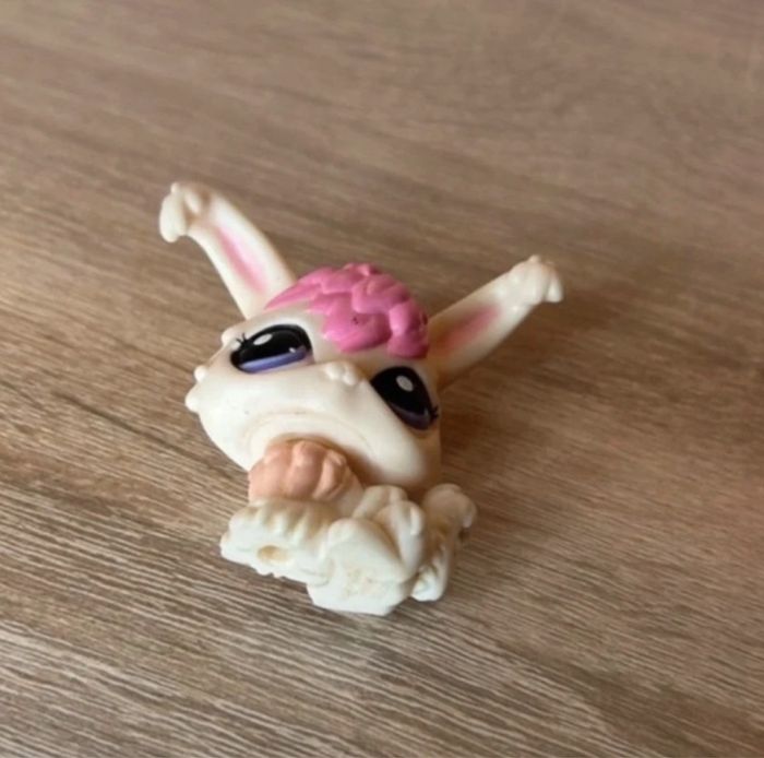 Petshop Lapin #1894 - photo numéro 3