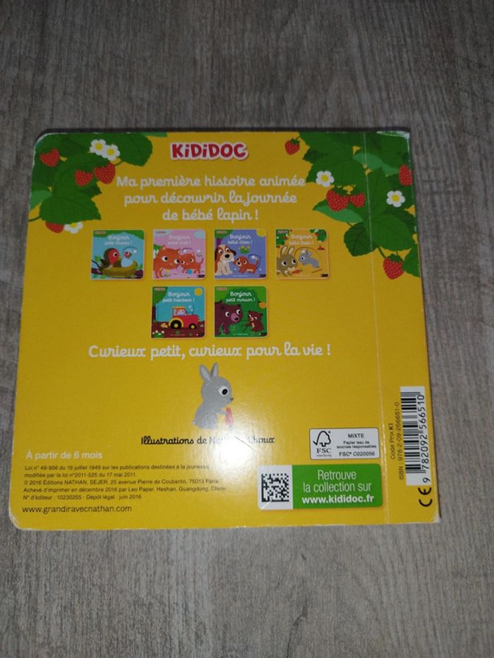 Kididoc bonjour bébé lapin - photo numéro 2