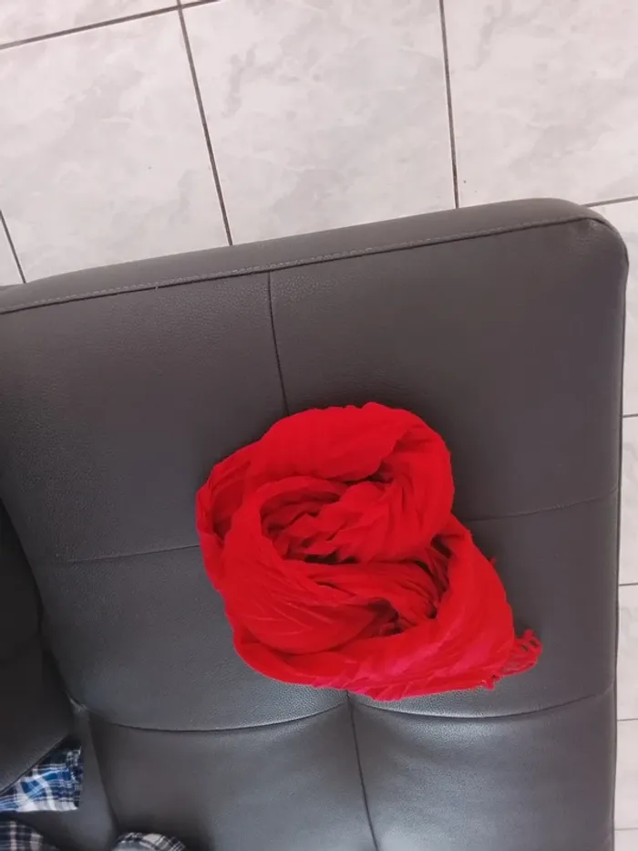 Echarpe rouge burton - photo numéro 3