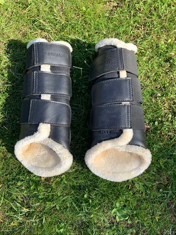 Guêtres de dressage Showmaster