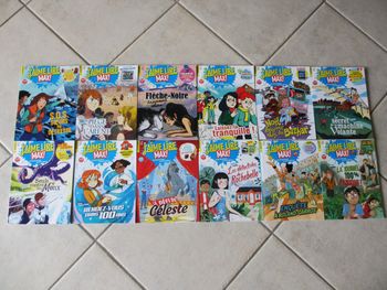 Lot de 12 magazines J’aime lire Max n° 248 à 259 - Bayard