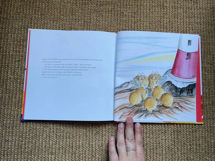 Livre Le p’tit morse qui n’aimait pas l’océan - photo numéro 3