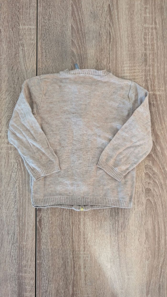 Veste crocodile - photo numéro 3