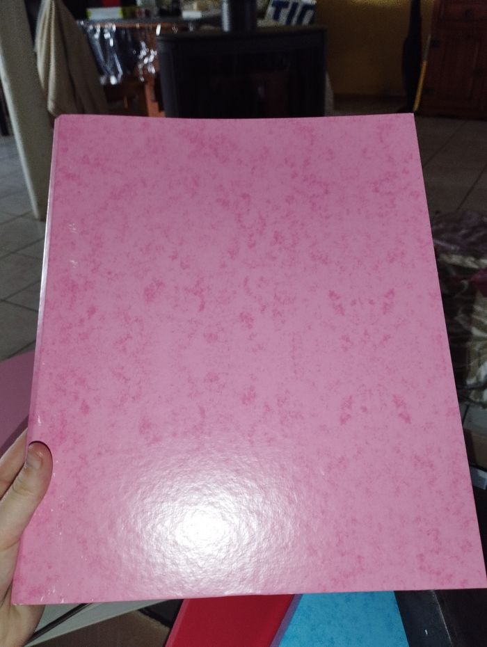 Grand classeur - photo numéro 2