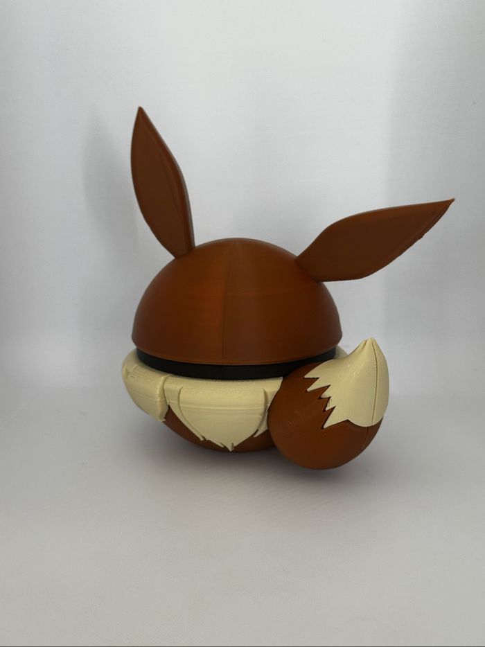 Pokeball evoli - photo numéro 3