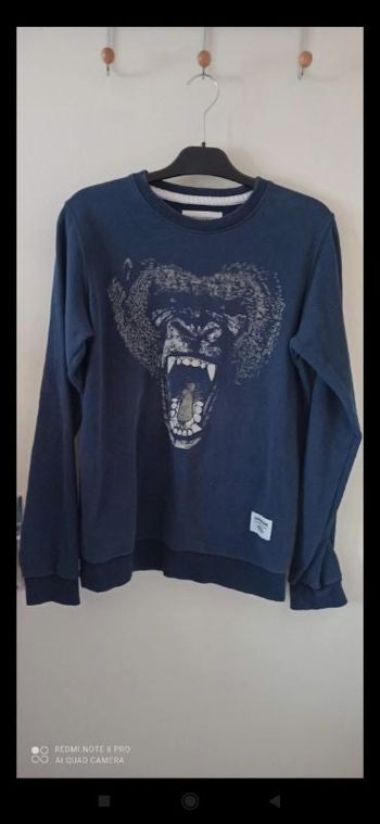 Pull 36