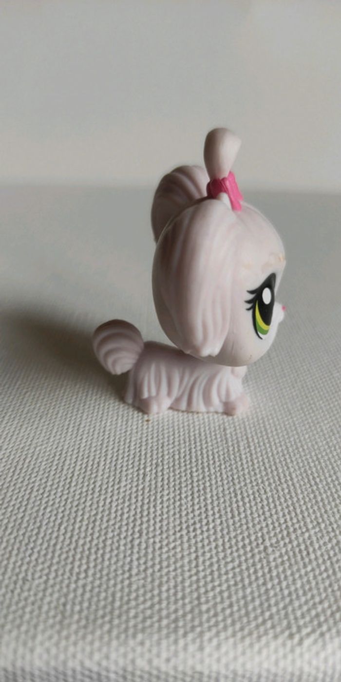 My littlest petshop chien bichon maltais 1-110 duchesse malteaser - photo numéro 3