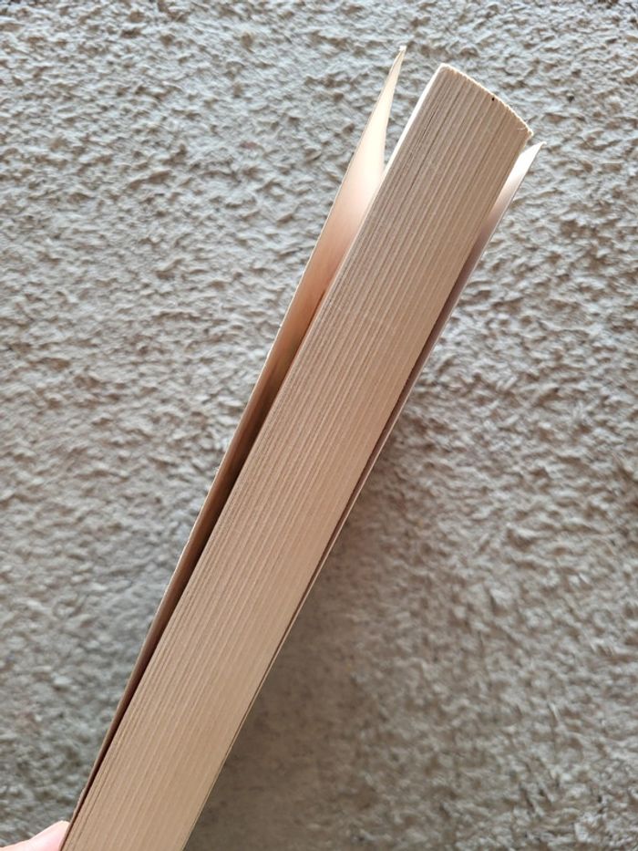 Livre Face à la mer de Françoise Bourdin - photo numéro 3